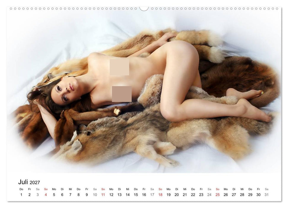 Sexy 2027 - Aktfotografie (CALVENDO Premium Wandkalender 2027)