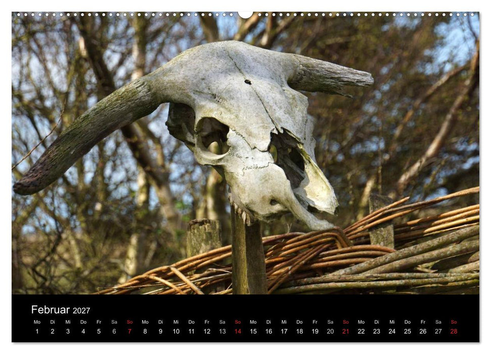 Dänemark - Umgebung von Hvide Sande (CALVENDO Wandkalender 2027)