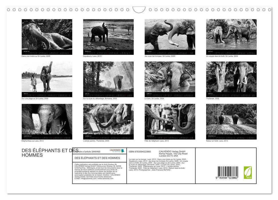 DES ÉLÉPHANTS ET DES HOMMES (CALVENDO Calendrier mensuel 2027)