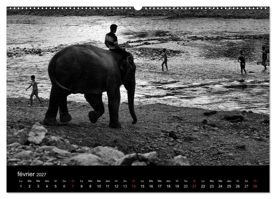 DES ÉLÉPHANTS ET DES HOMMES (CALVENDO Calendrier supérieur 2027)