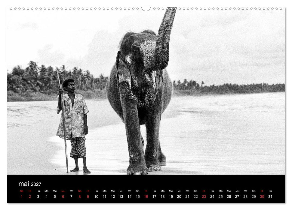 DES ÉLÉPHANTS ET DES HOMMES (CALVENDO Calendrier supérieur 2027)