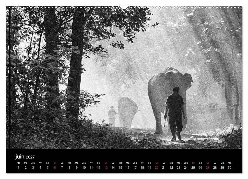 DES ÉLÉPHANTS ET DES HOMMES (CALVENDO Calendrier supérieur 2027)