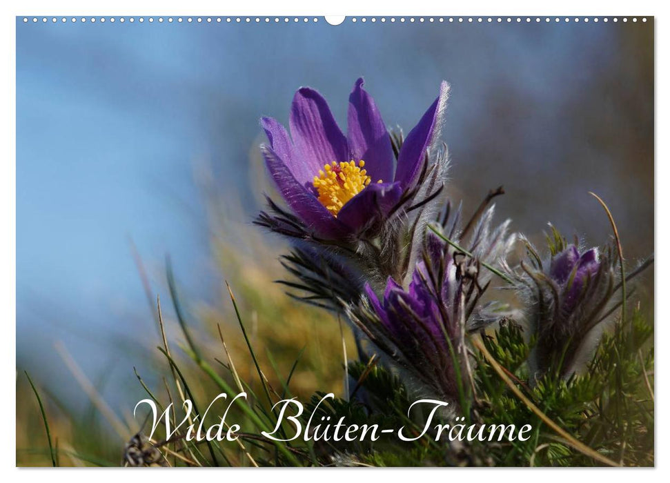 Wilde Blüten-Träume (CALVENDO Wandkalender 2027)