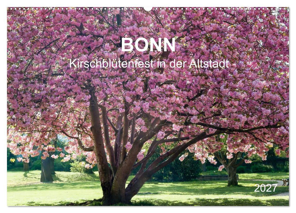 Bonn - Kirschblütenfest in der Altstadt (CALVENDO Wandkalender 2027)
