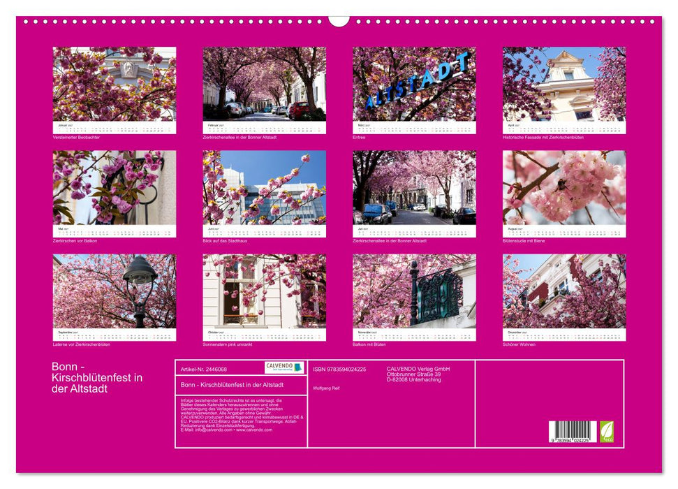Bonn - Kirschblütenfest in der Altstadt (CALVENDO Wandkalender 2027)