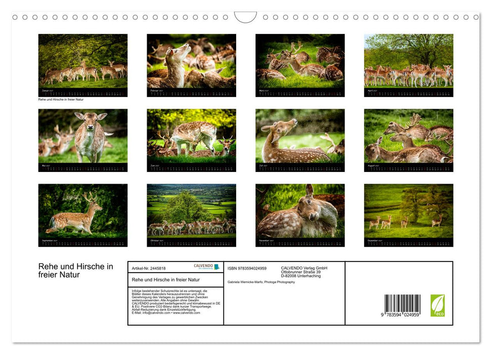 Rehe und Hirsche in freier Natur (CALVENDO Wandkalender 2027)