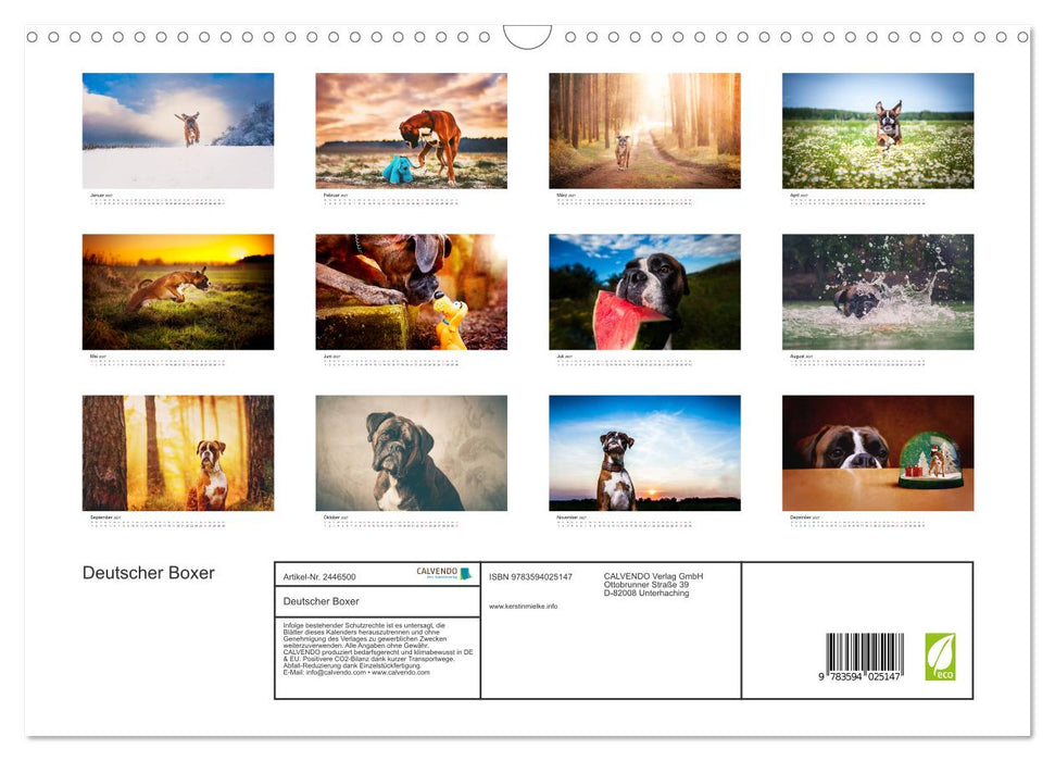 Deutscher Boxer (CALVENDO Wandkalender 2027)