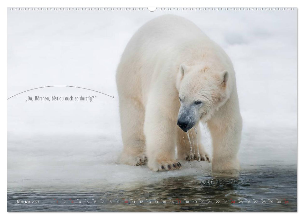 Emotionale Momente: Eisbären - ganz menschlich gesehen. (CALVENDO Premium Wandkalender 2027)