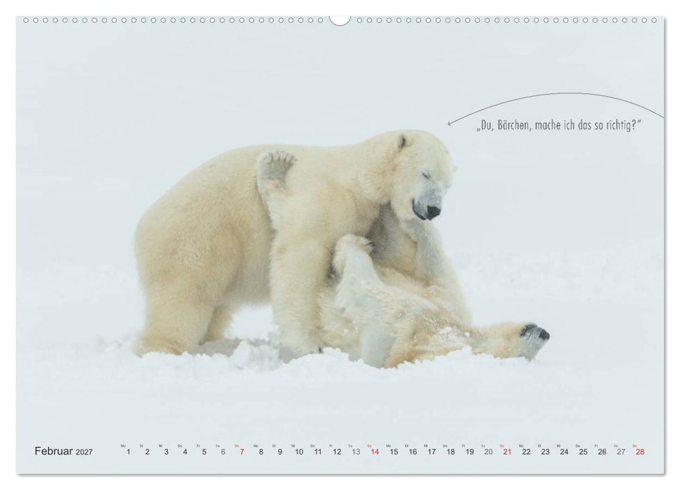 Emotionale Momente: Eisbären - ganz menschlich gesehen. (CALVENDO Premium Wandkalender 2027)