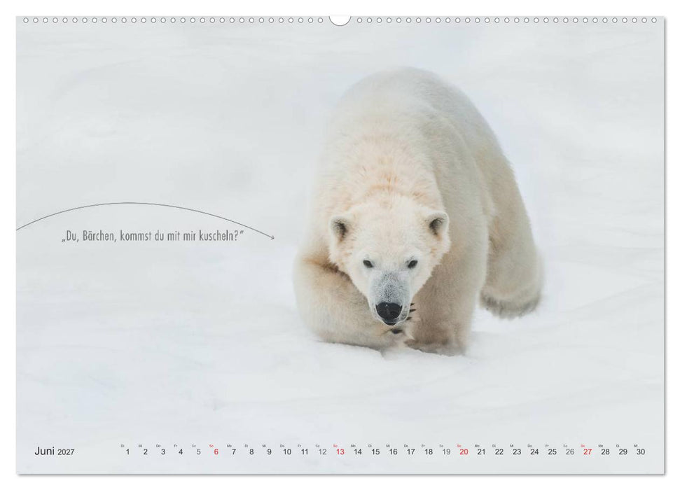Emotionale Momente: Eisbären - ganz menschlich gesehen. (CALVENDO Premium Wandkalender 2027)