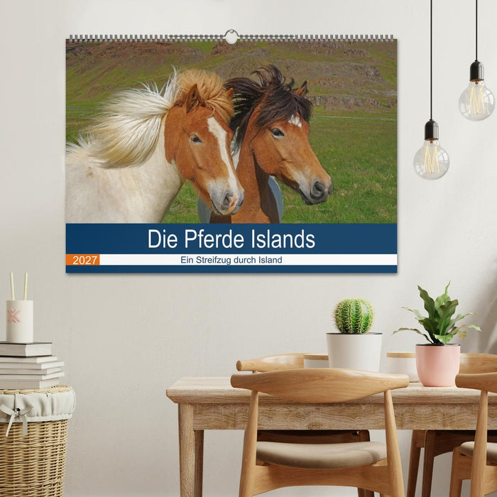 Die Pferde Islands - Ein Streifzug durch Island (CALVENDO Wandkalender 2027)