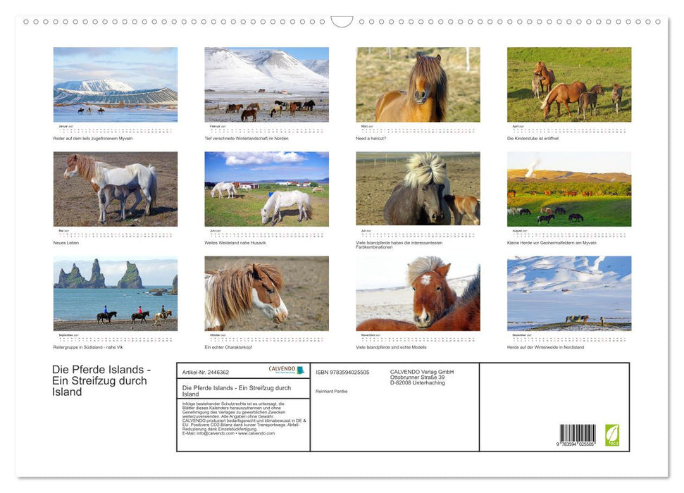 Die Pferde Islands - Ein Streifzug durch Island (CALVENDO Wandkalender 2027)