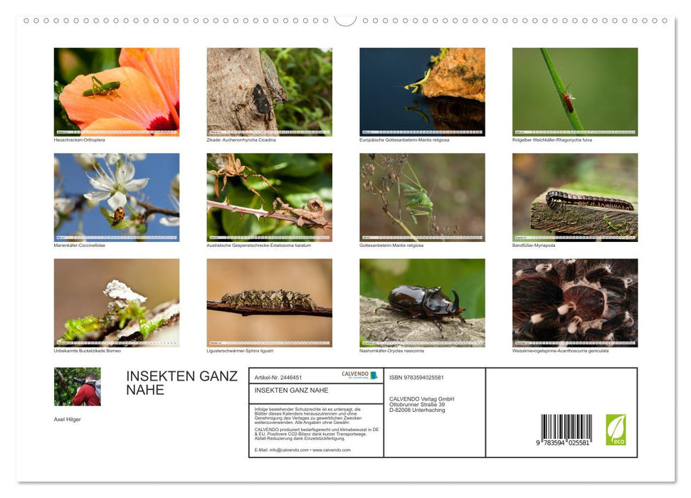 INSEKTEN GANZ NAHE (CALVENDO Premium Wandkalender 2027)