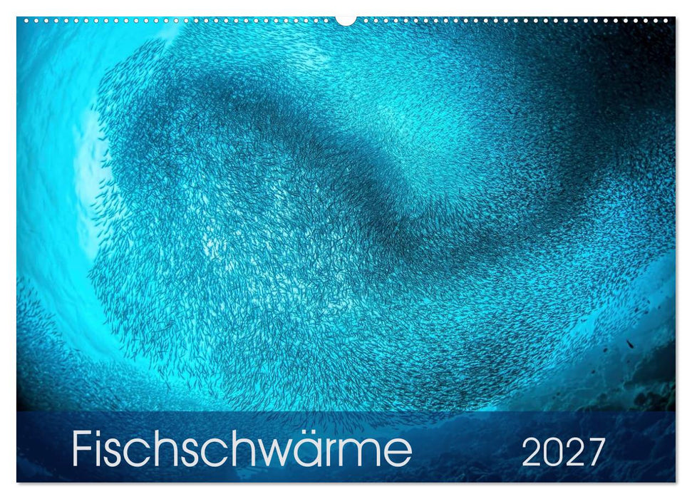 Fischschwärme (CALVENDO Wandkalender 2027)