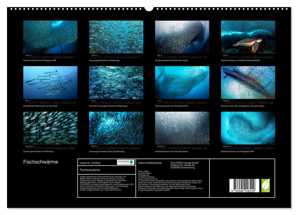 Fischschwärme (CALVENDO Premium Wandkalender 2027)
