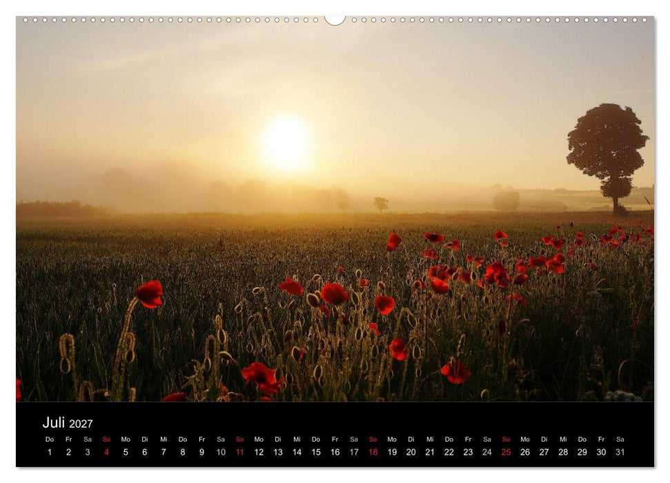Wilde Blüten-Träume (CALVENDO Premium Wandkalender 2027)