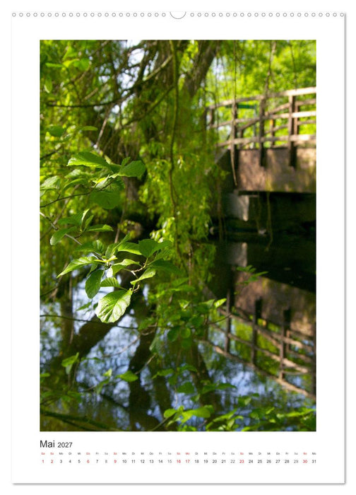 Impressionen aus unserem Wald (CALVENDO Wandkalender 2027)