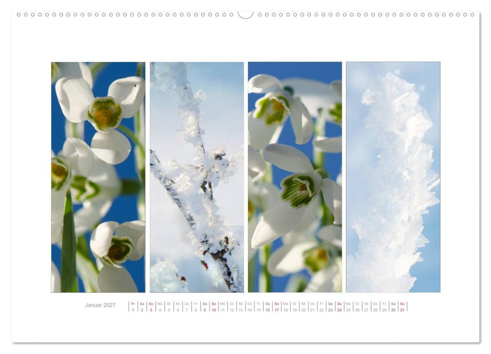 Gartenfreude (CALVENDO Premium Wandkalender 2027)