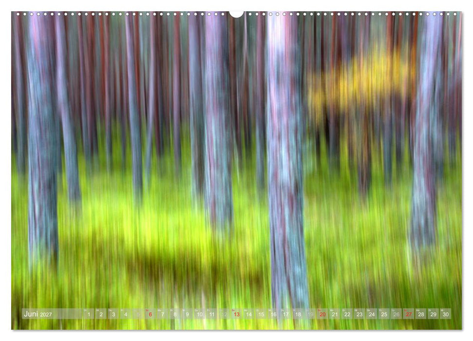 Atelier Wald - gemalt mit Licht (CALVENDO Premium Wandkalender 2027)