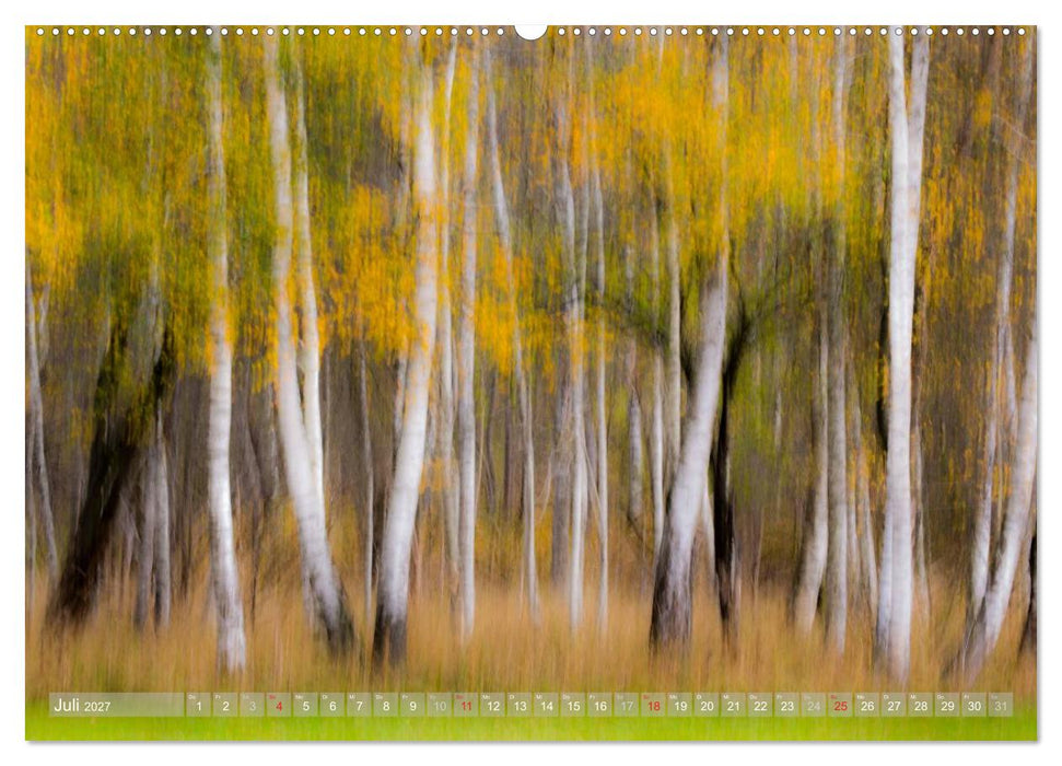 Atelier Wald - gemalt mit Licht (CALVENDO Premium Wandkalender 2027)