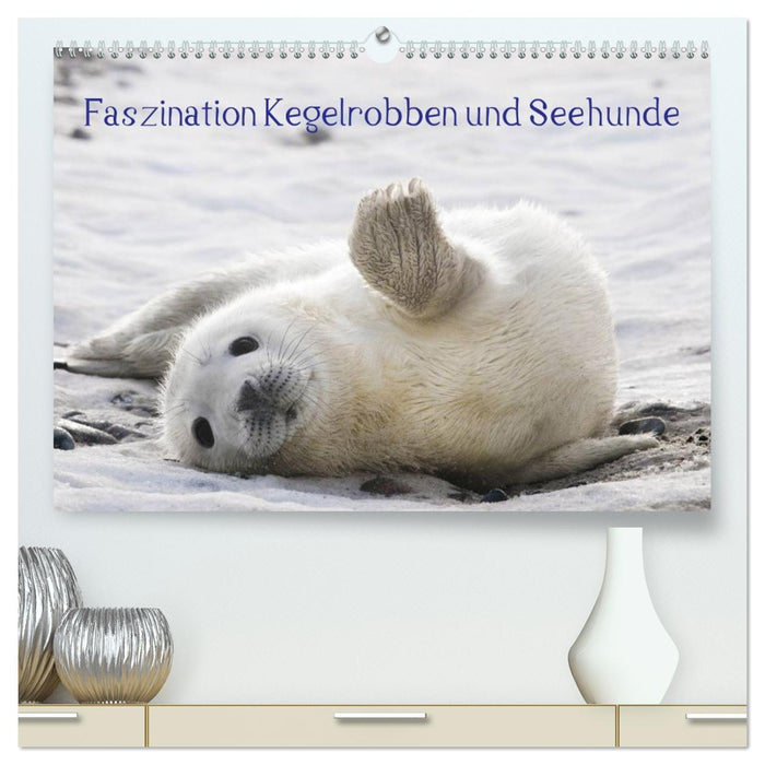 Faszination Kegelrobben und Seehunde 2027 (CALVENDO Premium Wandkalender 2027)