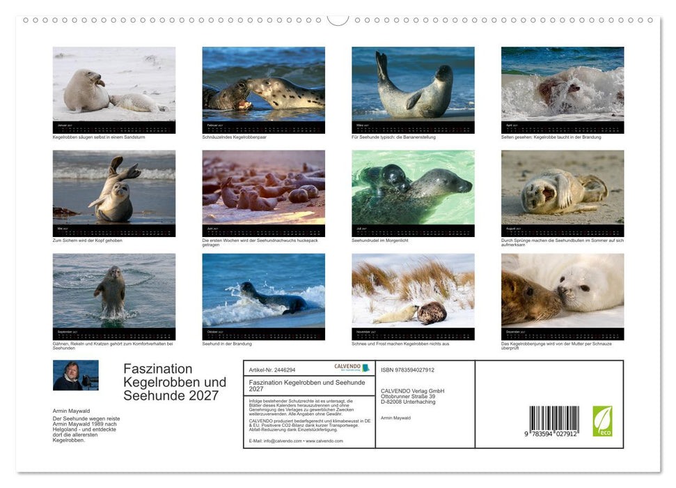 Faszination Kegelrobben und Seehunde 2027 (CALVENDO Premium Wandkalender 2027)