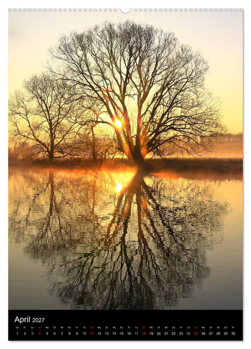 Traumstimmungen (CALVENDO Premium Wandkalender 2027)