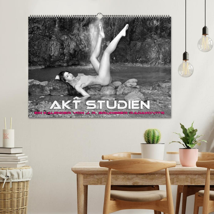 Akt Studien (CALVENDO Wandkalender 2027)