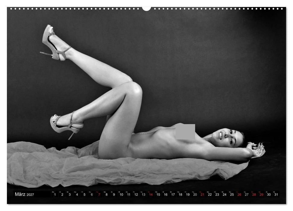 Akt Studien (CALVENDO Wandkalender 2027)