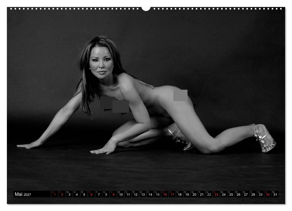Akt Studien (CALVENDO Wandkalender 2027)