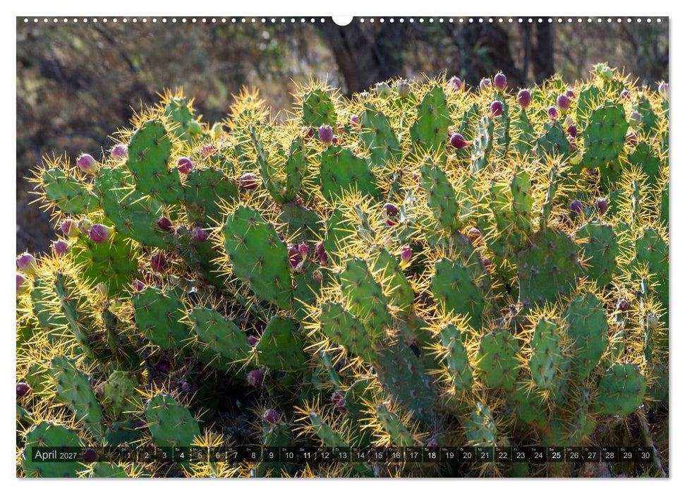 Grandioses Canaria (CALVENDO Premium Wandkalender 2027)