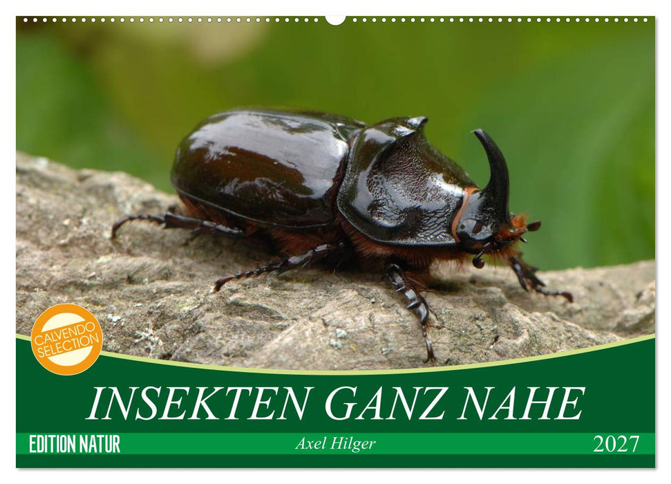 INSEKTEN GANZ NAHE (CALVENDO Wandkalender 2027)