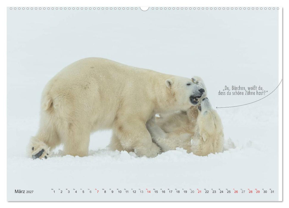 Emotionale Momente: Eisbären - ganz menschlich gesehen. (CALVENDO Wandkalender 2027)