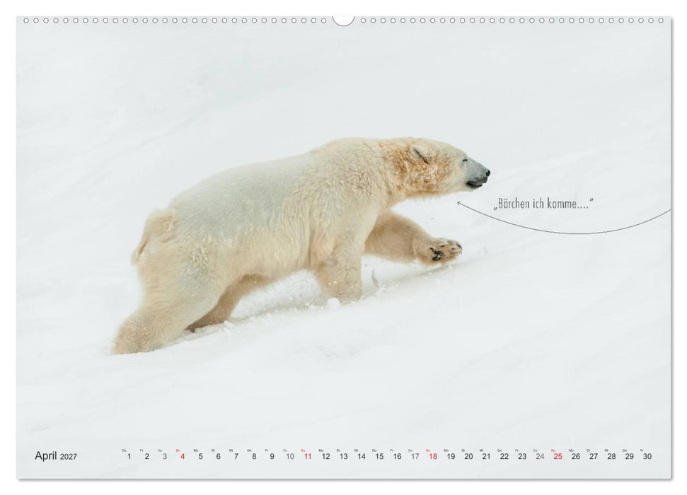 Emotionale Momente: Eisbären - ganz menschlich gesehen. (CALVENDO Wandkalender 2027)