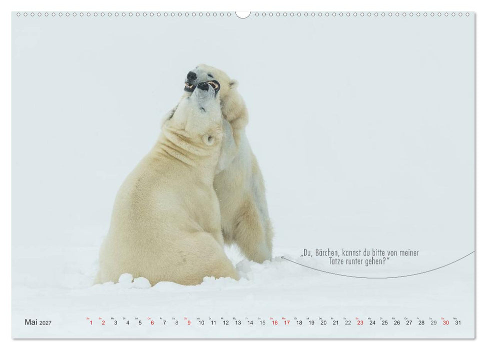 Emotionale Momente: Eisbären - ganz menschlich gesehen. (CALVENDO Wandkalender 2027)