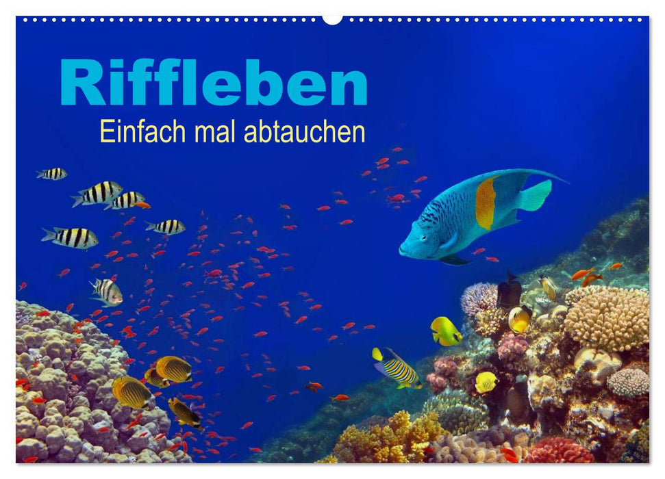 Riffleben - Einfach mal abtauchen (CALVENDO Wandkalender 2027)