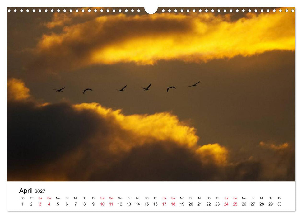 Zug der Kraniche (CALVENDO Wandkalender 2027)