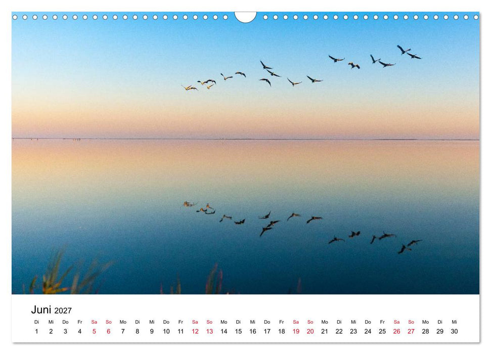 Zug der Kraniche (CALVENDO Wandkalender 2027)