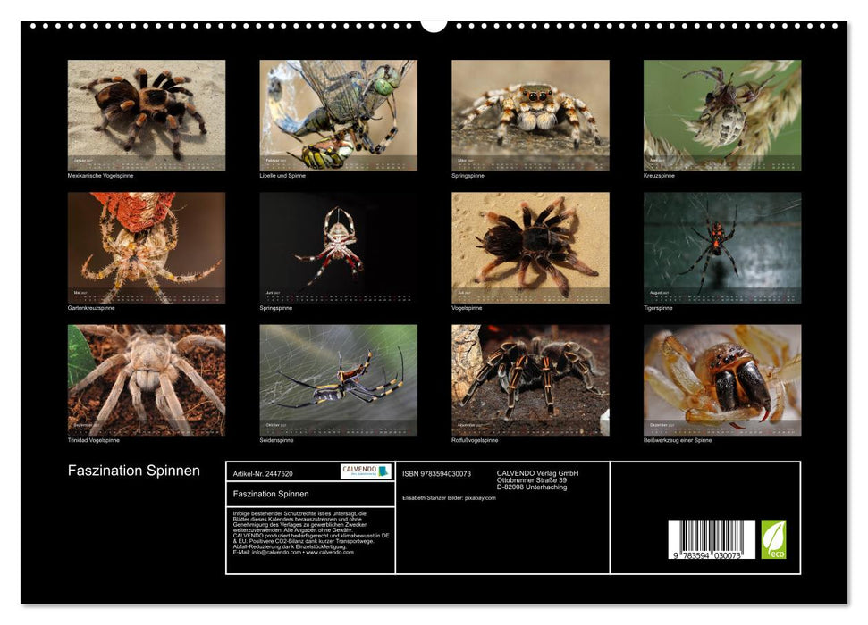 Faszination Spinnen (CALVENDO Premium Wandkalender 2027)