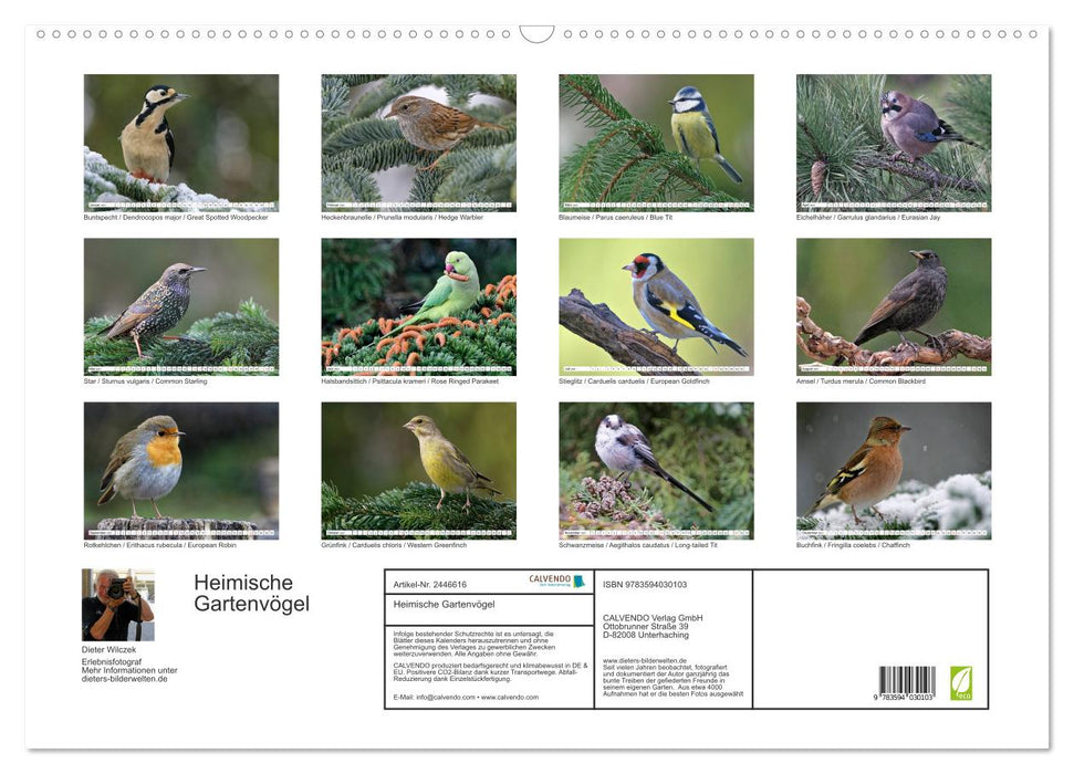 Heimische Gartenvögel (CALVENDO Wandkalender 2027)