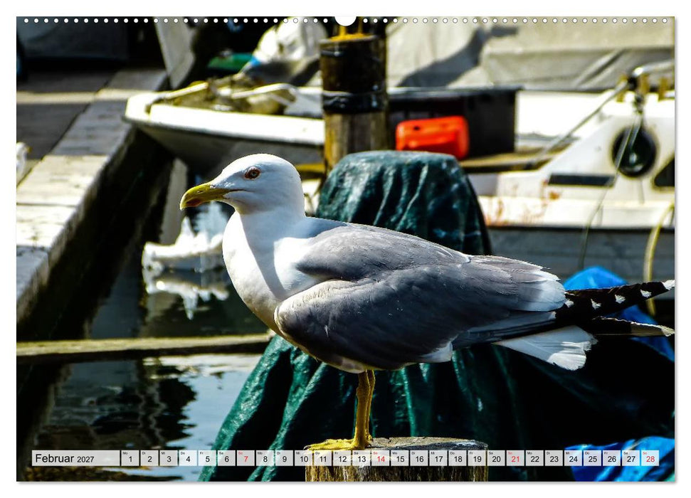 Chioggia - Venedigs kleine Schwester (CALVENDO Premium Wandkalender 2027)