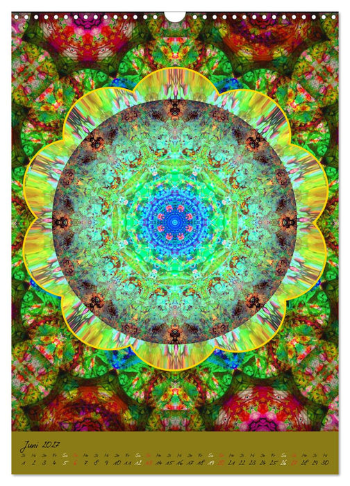 FLORALE MANDALAS (CALVENDO Wandkalender 2027)