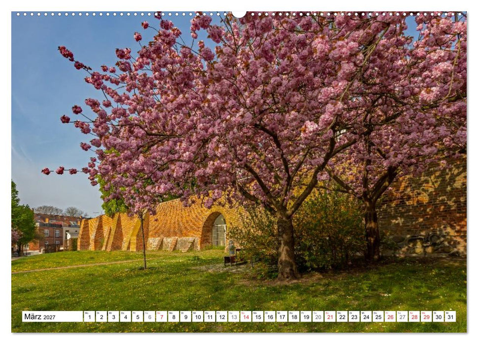 Wismarer Ansichten 2027 (CALVENDO Wandkalender 2027)