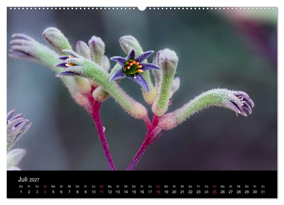 Australien 2027 Natur und Kultur (CALVENDO Premium Wandkalender 2027)