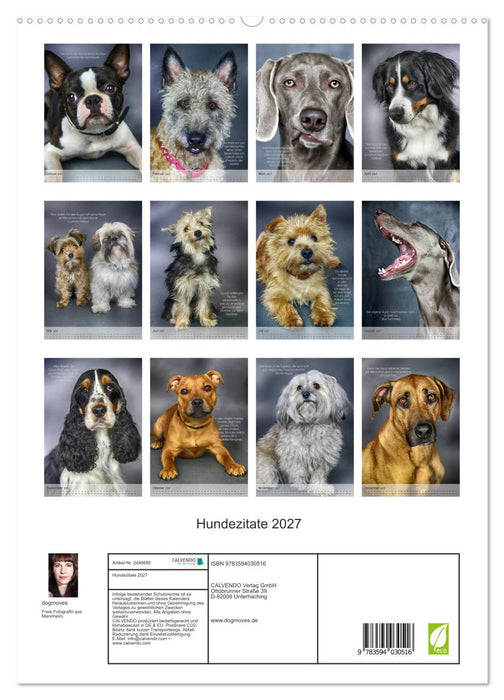 Hundezitate 2027 (CALVENDO Premium Wandkalender 2027)