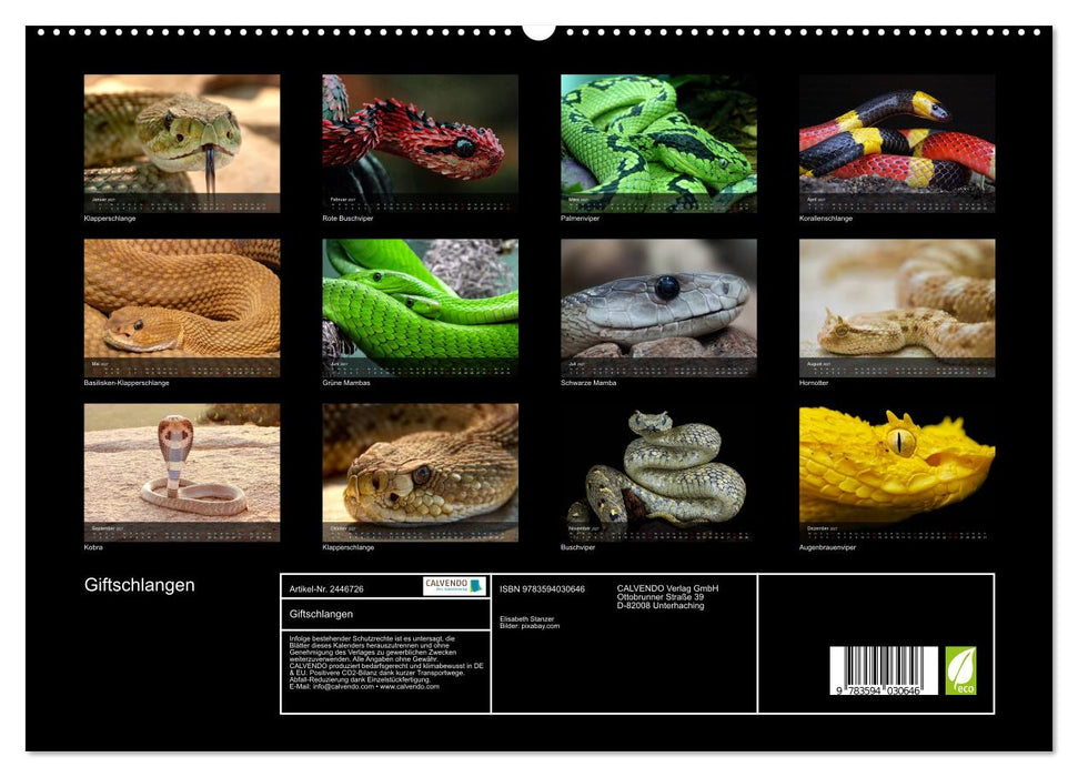 Giftschlangen (CALVENDO Premium Wandkalender 2027)