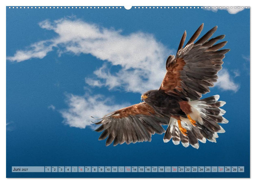 Faszinierende Greifvögel hautnah (CALVENDO Wandkalender 2027)
