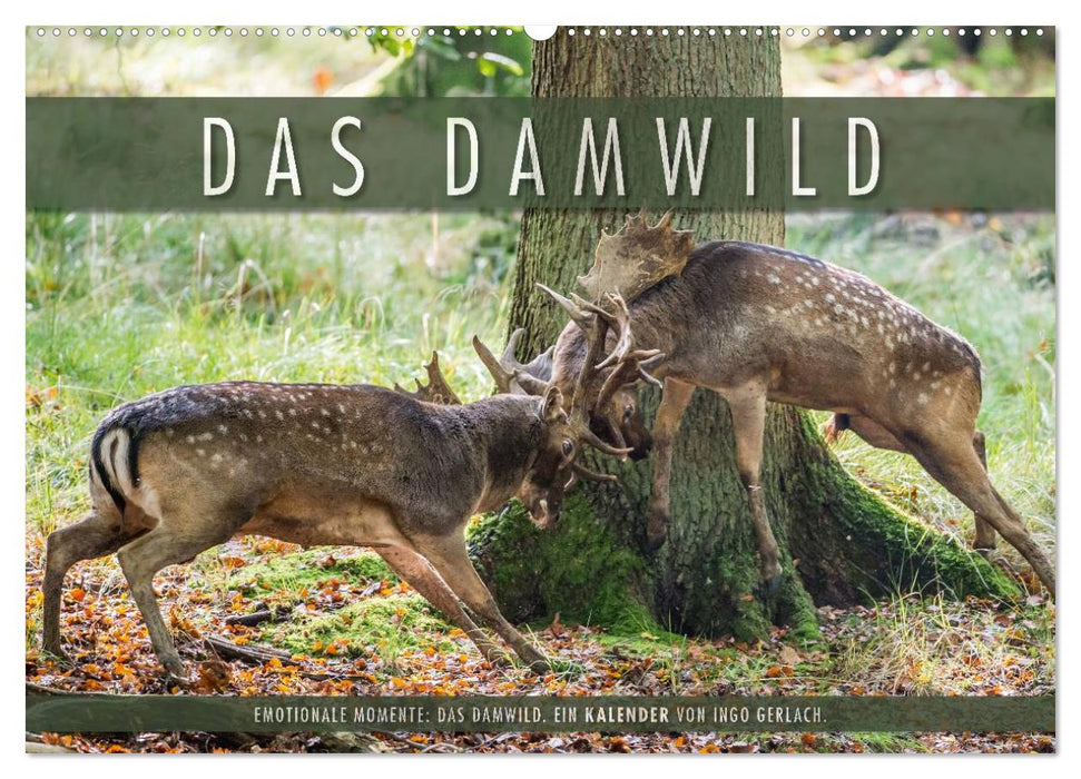 Emotionale Momente: Das Damwild. (CALVENDO Wandkalender 2027)