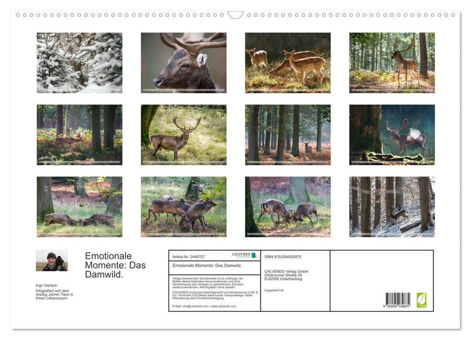 Emotionale Momente: Das Damwild. (CALVENDO Wandkalender 2027)
