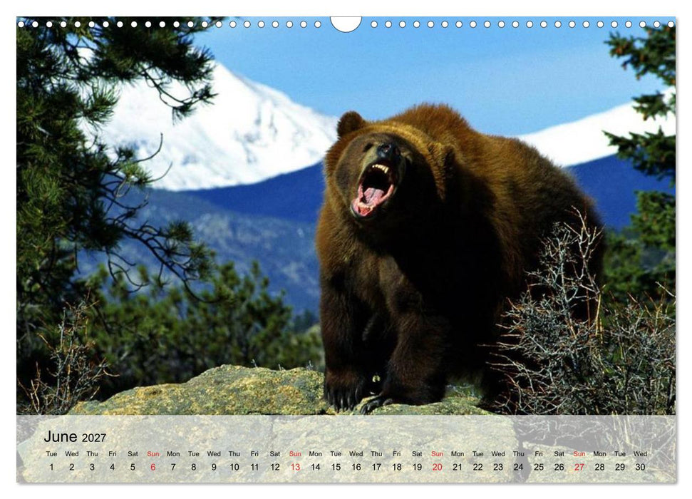 Canada Impressions (CALVENDO Monthly Calendar 2027)